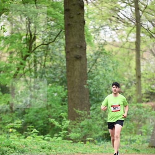 19.04.2026 - Hammer Lauf Dr. Thomas Lammeyer http://msf.ph/oto/9554260 19.04.2026 12:29:46 Laufen 525 meine-sportfotos.de