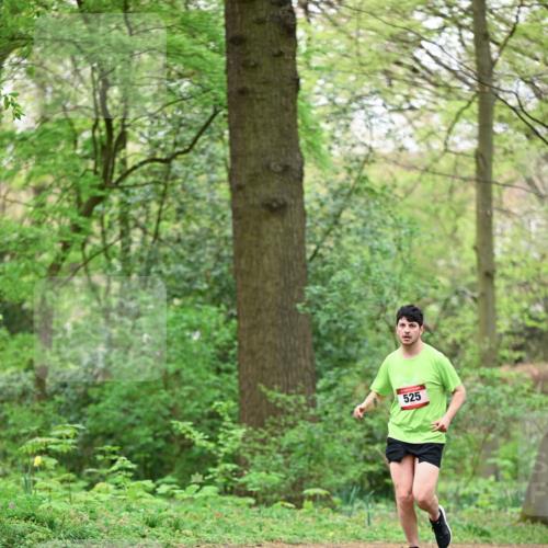 19.04.2026 - Hammer Lauf Dr. Thomas Lammeyer http://msf.ph/oto/9554261 19.04.2026 12:29:46 Laufen 525 meine-sportfotos.de