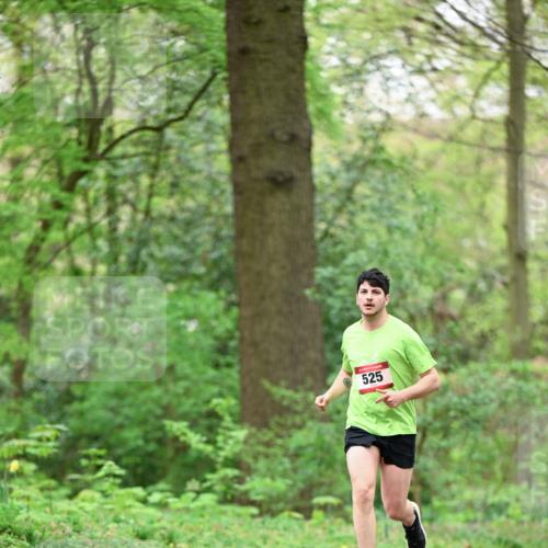 19.04.2026 - Hammer Lauf Dr. Thomas Lammeyer http://msf.ph/oto/9554265 19.04.2026 12:29:46 Laufen 525 meine-sportfotos.de