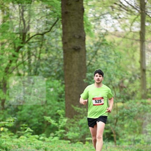 19.04.2026 - Hammer Lauf Dr. Thomas Lammeyer http://msf.ph/oto/9554267 19.04.2026 12:29:46 Laufen 525 meine-sportfotos.de