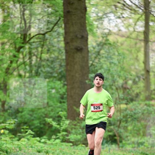 19.04.2026 - Hammer Lauf Dr. Thomas Lammeyer http://msf.ph/oto/9554269 19.04.2026 12:29:47 Laufen 525 meine-sportfotos.de