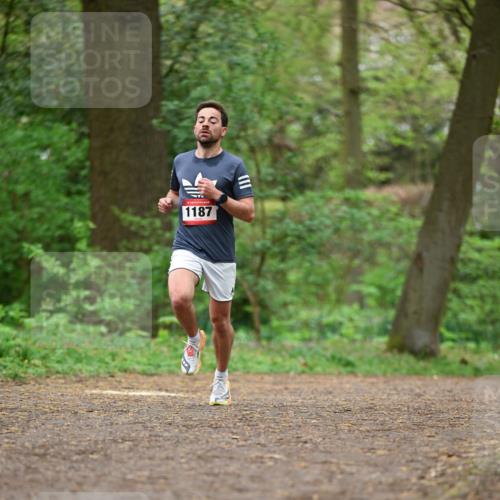 19.04.2026 - Hammer Lauf Dr. Thomas Lammeyer http://msf.ph/oto/9554385 19.04.2026 12:30:54 Laufen 1187 meine-sportfotos.de