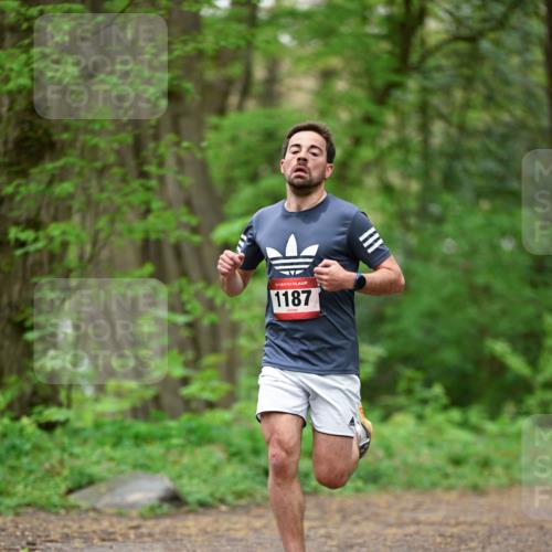 19.04.2026 - Hammer Lauf Dr. Thomas Lammeyer http://msf.ph/oto/9554397 19.04.2026 12:30:55 Laufen 1187 meine-sportfotos.de