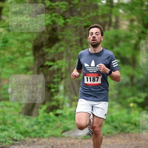 19.04.2026 - Hammer Lauf Dr. Thomas Lammeyer http://msf.ph/oto/9554400 19.04.2026 12:30:56 Laufen 1187 meine-sportfotos.de