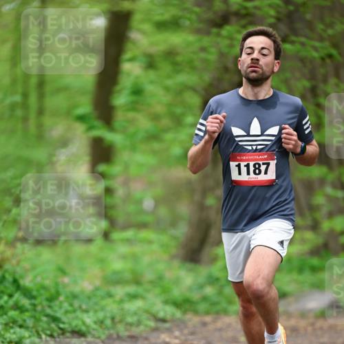 19.04.2026 - Hammer Lauf Dr. Thomas Lammeyer http://msf.ph/oto/9554403 19.04.2026 12:30:56 Laufen 1187 meine-sportfotos.de