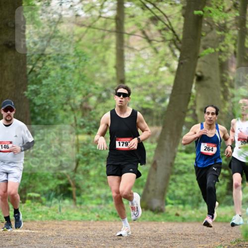 19.04.2026 - Hammer Lauf Dr. Thomas Lammeyer http://msf.ph/oto/9554437 19.04.2026 12:31:28 Laufen 146, 179, 264, 204 meine-sportfotos.de