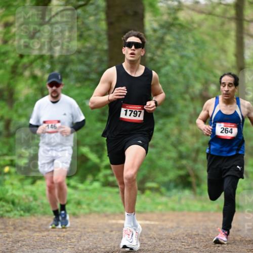 19.04.2026 - Hammer Lauf Dr. Thomas Lammeyer http://msf.ph/oto/9554450 19.04.2026 12:31:29 Laufen 146, 1797, 264 meine-sportfotos.de