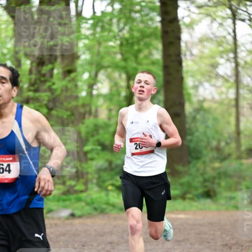 19.04.2026 - Hammer Lauf Dr. Thomas Lammeyer http://msf.ph/oto/9554465 19.04.2026 12:31:32 Laufen  meine-sportfotos.de