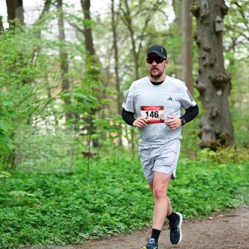 19.04.2026 - Hammer Lauf Dr. Thomas Lammeyer http://msf.ph/oto/9554481 19.04.2026 12:31:35 Laufen 146 meine-sportfotos.de