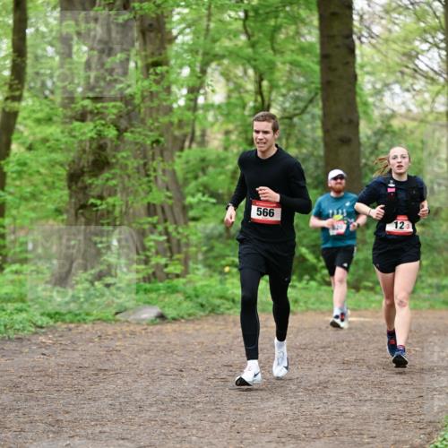 19.04.2026 - Hammer Lauf Dr. Thomas Lammeyer http://msf.ph/oto/9554509 19.04.2026 12:31:41 Laufen 566, 123 meine-sportfotos.de