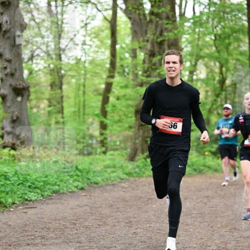 19.04.2026 - Hammer Lauf Dr. Thomas Lammeyer http://msf.ph/oto/9554519 19.04.2026 12:31:42 Laufen  meine-sportfotos.de