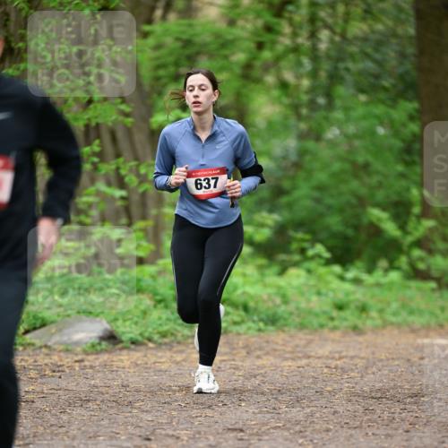 19.04.2026 - Hammer Lauf Dr. Thomas Lammeyer http://msf.ph/oto/9554563 19.04.2026 12:31:54 Laufen 637 meine-sportfotos.de