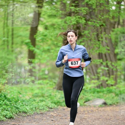 19.04.2026 - Hammer Lauf Dr. Thomas Lammeyer http://msf.ph/oto/9554573 19.04.2026 12:31:55 Laufen 637 meine-sportfotos.de