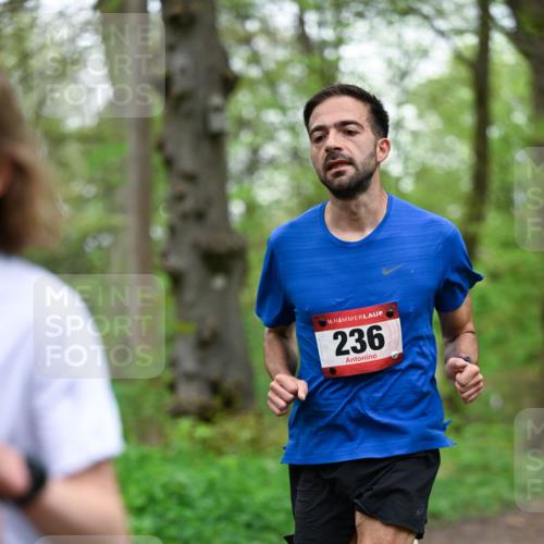 19.04.2026 - Hammer Lauf Dr. Thomas Lammeyer http://msf.ph/oto/9554603 19.04.2026 12:32:06 Laufen 236 meine-sportfotos.de