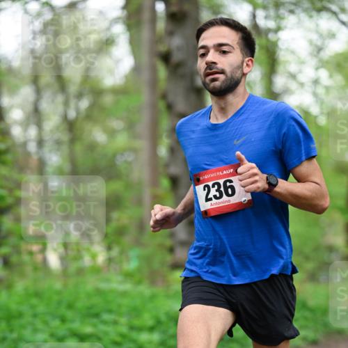 19.04.2026 - Hammer Lauf Dr. Thomas Lammeyer http://msf.ph/oto/9554605 19.04.2026 12:32:06 Laufen 236 meine-sportfotos.de