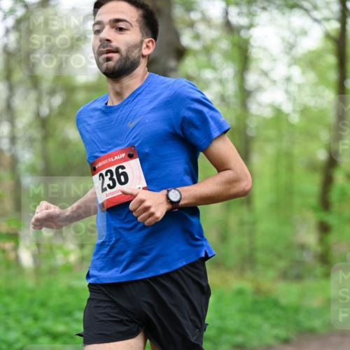 19.04.2026 - Hammer Lauf Dr. Thomas Lammeyer http://msf.ph/oto/9554606 19.04.2026 12:32:07 Laufen 236 meine-sportfotos.de