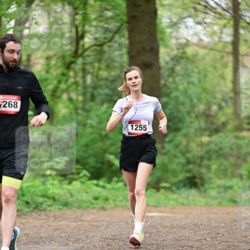 19.04.2026 - Hammer Lauf Dr. Thomas Lammeyer http://msf.ph/oto/9554725 19.04.2026 12:32:48 Laufen 268, 189, 1255 meine-sportfotos.de