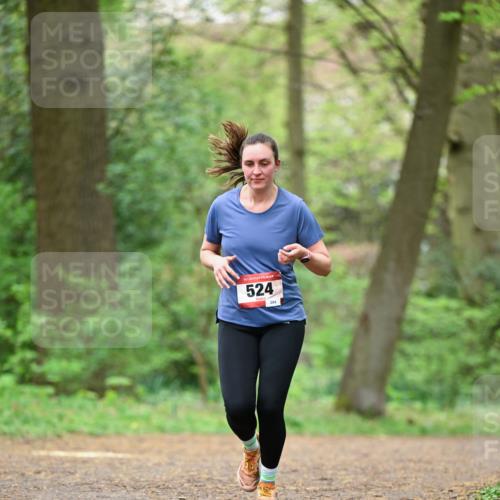19.04.2026 - Hammer Lauf Dr. Thomas Lammeyer http://msf.ph/oto/9554737 19.04.2026 12:32:53 Laufen 524 meine-sportfotos.de