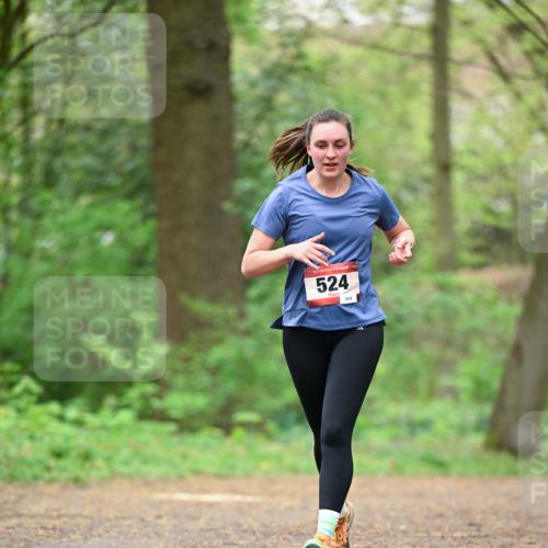 19.04.2026 - Hammer Lauf Dr. Thomas Lammeyer http://msf.ph/oto/9554739 19.04.2026 12:32:54 Laufen 524, 204 meine-sportfotos.de