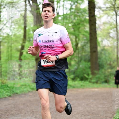 19.04.2026 - Hammer Lauf Dr. Thomas Lammeyer http://msf.ph/oto/9554792 19.04.2026 12:33:10 Laufen  meine-sportfotos.de