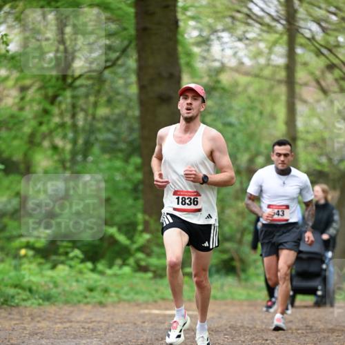 19.04.2026 - Hammer Lauf Dr. Thomas Lammeyer http://msf.ph/oto/9554833 19.04.2026 12:33:25 Laufen 1836, 543 meine-sportfotos.de