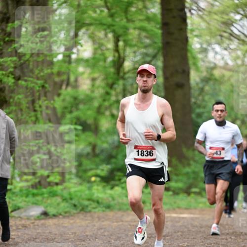 19.04.2026 - Hammer Lauf Dr. Thomas Lammeyer http://msf.ph/oto/9554839 19.04.2026 12:33:25 Laufen 1836 meine-sportfotos.de