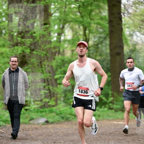 19.04.2026 - Hammer Lauf Dr. Thomas Lammeyer http://msf.ph/oto/9554840 19.04.2026 12:33:26 Laufen 1836, 943 meine-sportfotos.de