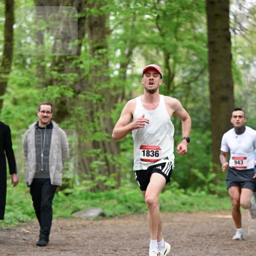 19.04.2026 - Hammer Lauf Dr. Thomas Lammeyer http://msf.ph/oto/9554841 19.04.2026 12:33:26 Laufen 1836, 943 meine-sportfotos.de