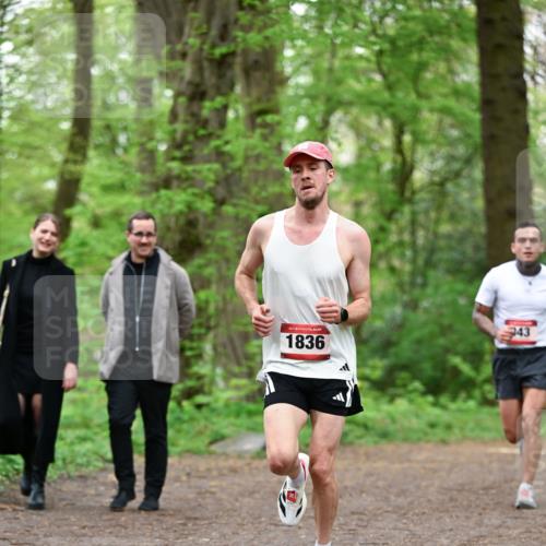 19.04.2026 - Hammer Lauf Dr. Thomas Lammeyer http://msf.ph/oto/9554842 19.04.2026 12:33:26 Laufen 1836, 943 meine-sportfotos.de