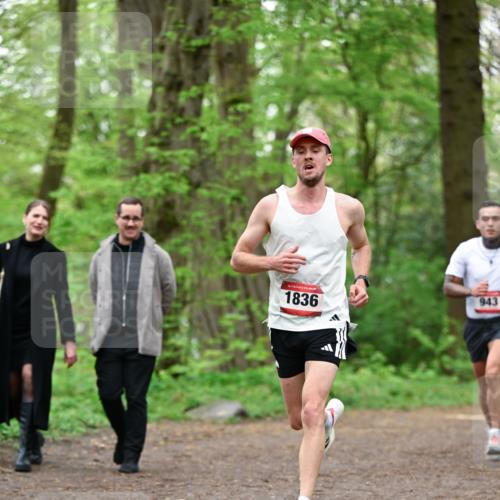 19.04.2026 - Hammer Lauf Dr. Thomas Lammeyer http://msf.ph/oto/9554843 19.04.2026 12:33:26 Laufen 1836, 943 meine-sportfotos.de
