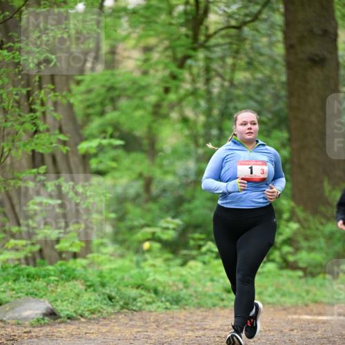 19.04.2026 - Hammer Lauf Dr. Thomas Lammeyer http://msf.ph/oto/9554851 19.04.2026 12:33:28 Laufen  meine-sportfotos.de