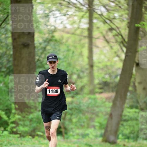 19.04.2026 - Hammer Lauf Dr. Thomas Lammeyer http://msf.ph/oto/9554871 19.04.2026 12:33:36 Laufen 1189 meine-sportfotos.de