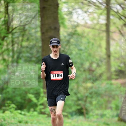 19.04.2026 - Hammer Lauf Dr. Thomas Lammeyer http://msf.ph/oto/9554875 19.04.2026 12:33:36 Laufen 1189 meine-sportfotos.de