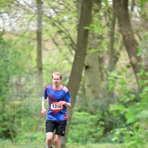 19.04.2026 - Hammer Lauf Dr. Thomas Lammeyer http://msf.ph/oto/9554881 19.04.2026 12:33:38 Laufen 1318 meine-sportfotos.de