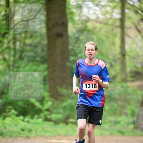 19.04.2026 - Hammer Lauf Dr. Thomas Lammeyer http://msf.ph/oto/9554892 19.04.2026 12:33:39 Laufen 1318 meine-sportfotos.de
