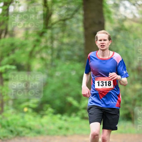 19.04.2026 - Hammer Lauf Dr. Thomas Lammeyer http://msf.ph/oto/9554897 19.04.2026 12:33:40 Laufen 1318 meine-sportfotos.de