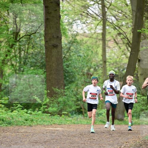 19.04.2026 - Hammer Lauf Dr. Thomas Lammeyer http://msf.ph/oto/9554936 19.04.2026 12:33:50 Laufen 223, 265, 741 meine-sportfotos.de