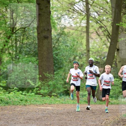 19.04.2026 - Hammer Lauf Dr. Thomas Lammeyer http://msf.ph/oto/9554937 19.04.2026 12:33:50 Laufen 223, 265, 1741 meine-sportfotos.de