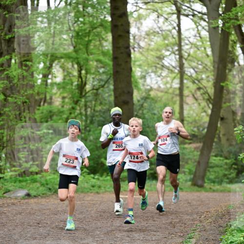 19.04.2026 - Hammer Lauf Dr. Thomas Lammeyer http://msf.ph/oto/9554952 19.04.2026 12:33:52 Laufen 223, 265, 174, 104 meine-sportfotos.de