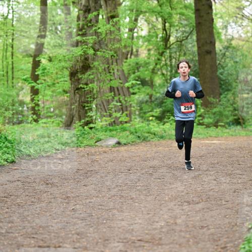 19.04.2026 - Hammer Lauf Dr. Thomas Lammeyer http://msf.ph/oto/9554976 19.04.2026 12:34:00 Laufen 259 meine-sportfotos.de