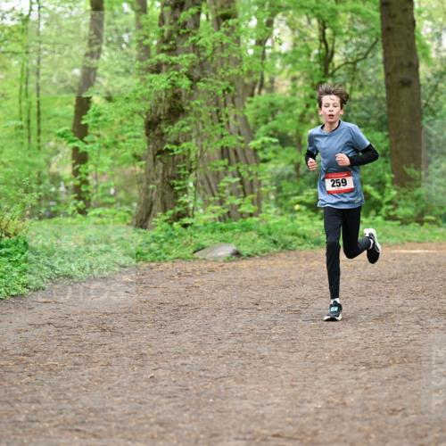 19.04.2026 - Hammer Lauf Dr. Thomas Lammeyer http://msf.ph/oto/9554978 19.04.2026 12:34:00 Laufen 259 meine-sportfotos.de