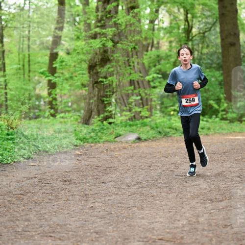 19.04.2026 - Hammer Lauf Dr. Thomas Lammeyer http://msf.ph/oto/9554979 19.04.2026 12:34:01 Laufen 259 meine-sportfotos.de