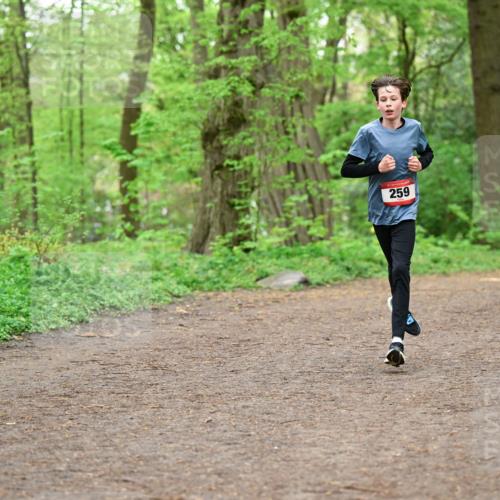19.04.2026 - Hammer Lauf Dr. Thomas Lammeyer http://msf.ph/oto/9554980 19.04.2026 12:34:01 Laufen 259 meine-sportfotos.de