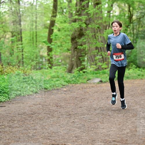 19.04.2026 - Hammer Lauf Dr. Thomas Lammeyer http://msf.ph/oto/9554981 19.04.2026 12:34:01 Laufen 259 meine-sportfotos.de