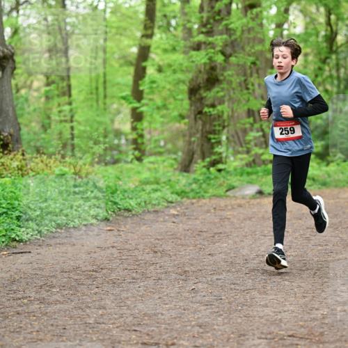 19.04.2026 - Hammer Lauf Dr. Thomas Lammeyer http://msf.ph/oto/9554982 19.04.2026 12:34:01 Laufen 259 meine-sportfotos.de