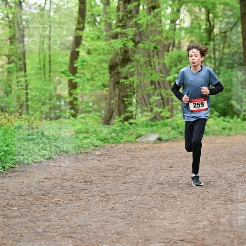 19.04.2026 - Hammer Lauf Dr. Thomas Lammeyer http://msf.ph/oto/9554983 19.04.2026 12:34:01 Laufen 259 meine-sportfotos.de