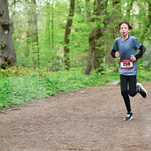 19.04.2026 - Hammer Lauf Dr. Thomas Lammeyer http://msf.ph/oto/9554984 19.04.2026 12:34:01 Laufen 259 meine-sportfotos.de