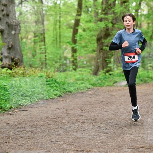 19.04.2026 - Hammer Lauf Dr. Thomas Lammeyer http://msf.ph/oto/9554985 19.04.2026 12:34:01 Laufen 259 meine-sportfotos.de