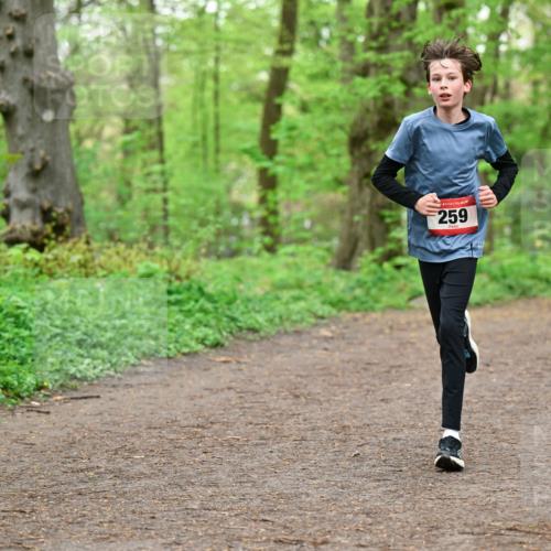 19.04.2026 - Hammer Lauf Dr. Thomas Lammeyer http://msf.ph/oto/9554986 19.04.2026 12:34:01 Laufen 259 meine-sportfotos.de