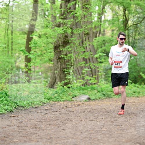 19.04.2026 - Hammer Lauf Dr. Thomas Lammeyer http://msf.ph/oto/9555002 19.04.2026 12:34:08 Laufen 442 meine-sportfotos.de